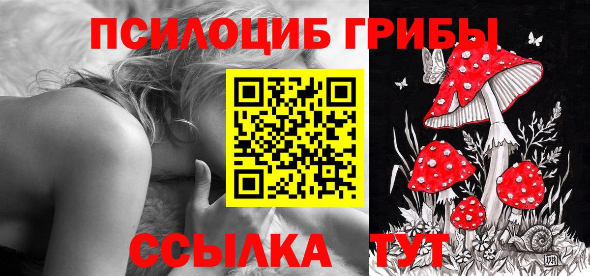 Псилоцибиновые грибы мухоморы  Псилоцибиновые грибы Magic Shrooms  Вход с VPN  Химки 